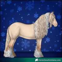 Horse Color:Gold Champagne Dun Tobiano 