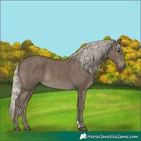 Horse Color:Silver Smoky Black 