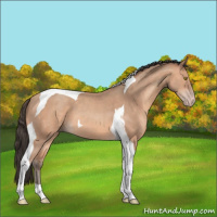 Horse Color:Amber Champagne Tobiano 