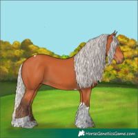 Horse Color:Silver Bay Tobiano