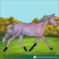 Horse Color:Void Watercolor Palomino Tobiano 