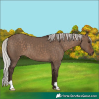 Horse Color:Silver Brown Dun 