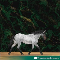 Horse Color:Brown Roan Rabicano 