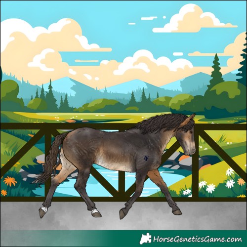 Horse Color:Buckskin 