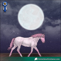 Horse Color:Watercolor Smoky Blue Roan 