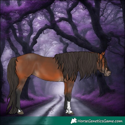 Horse Color:Bay Tobiano Rabicano 