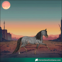 Horse Color:Liver Red Roan 