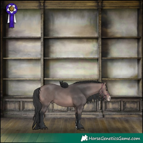 Horse Color:Platinum Bay Sabino