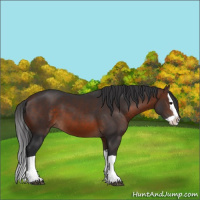 Horse Color:Brown Splash 