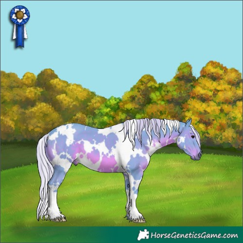 Horse Color:Watercolor White Spotted Silver Black 