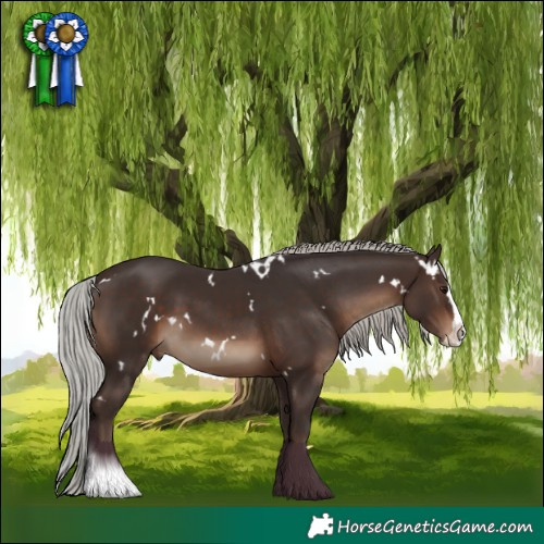 Horse Color:White Spotted Silver Brown Splash 