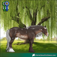 Horse Color:White Spotted Silver Brown Splash 