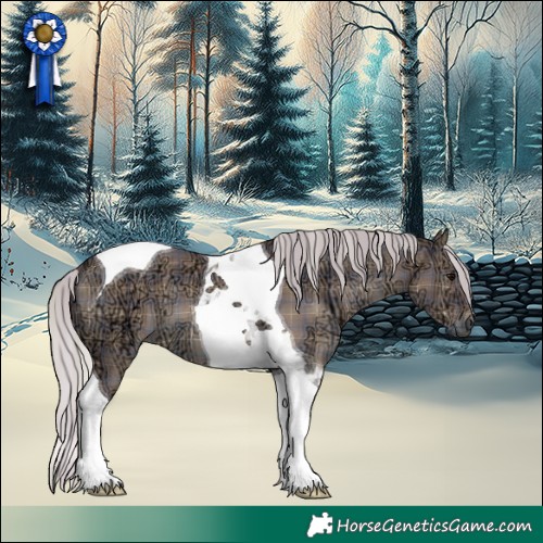 Horse Color:Plaid Silver Grullo Ice Tobiano