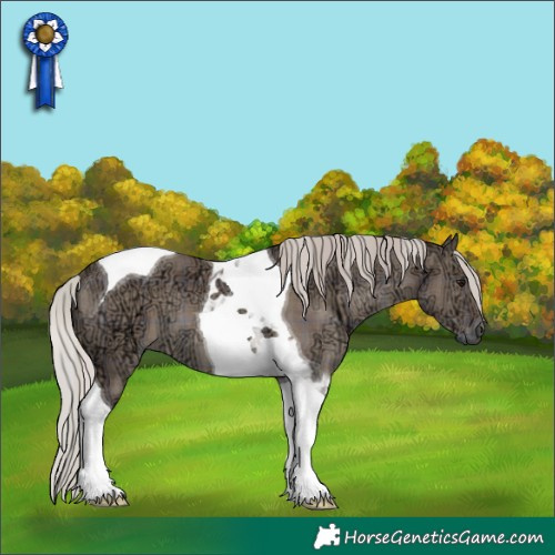 Horse Color:Plaid  Silver Grullo Ice Tobiano 