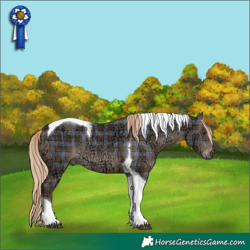 Horse Color:Plaid  Liver Chestnut Ice Tobiano 