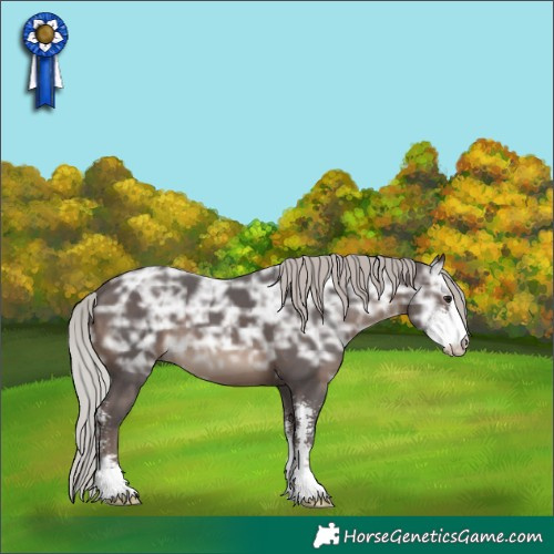 Horse Color:Silver Brown Ice Sabino 