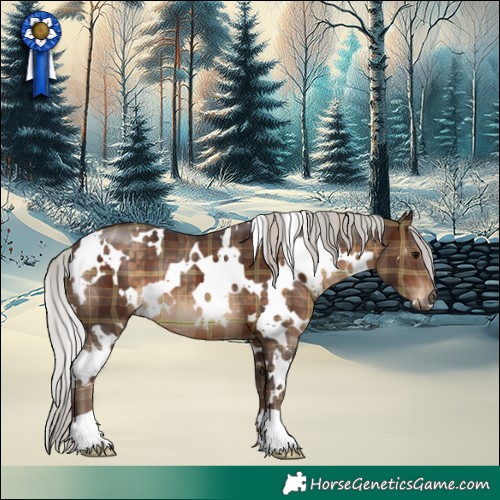 Horse Color:Plaid  White Spotted Silver Brown 