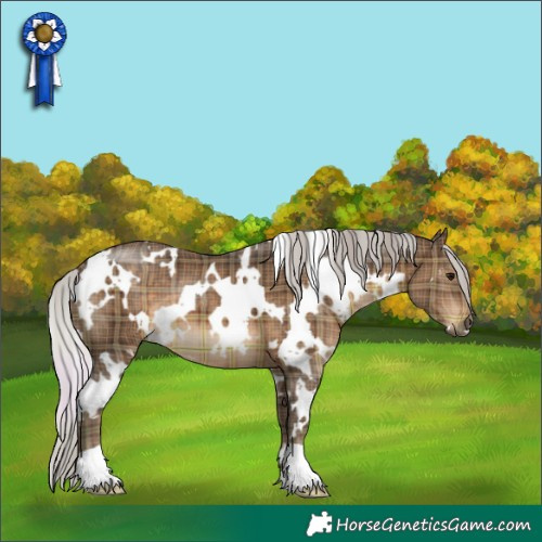 Horse Color:Plaid  White Spotted Silver Brown 