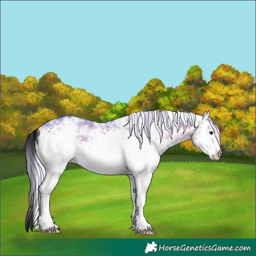 Horse Color:Watercolor White Spotted Silver Brown Ice Dun 