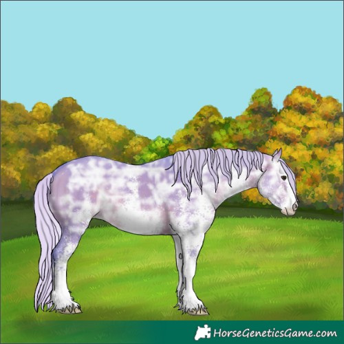 Horse Color:Watercolor White Spotted Silver Brown Ice Dun 