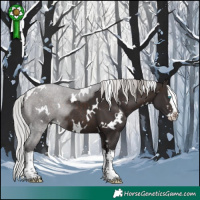 Horse Color:White Spotted Silver Brown Splash Rabicano