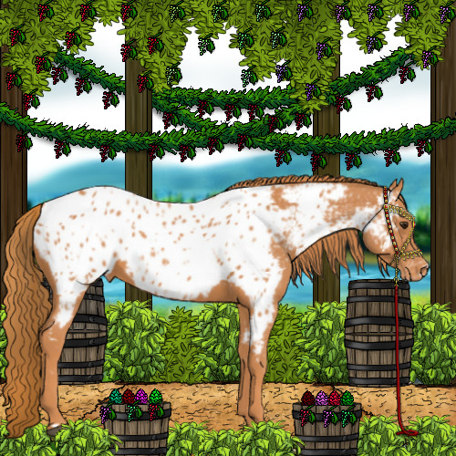 Horse Color:Chestnut Near Leopard