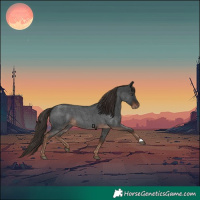 Horse Color:Liver Red Roan 