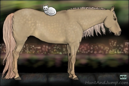 Horse Color:Chocolate Palomino Dun Sabino 