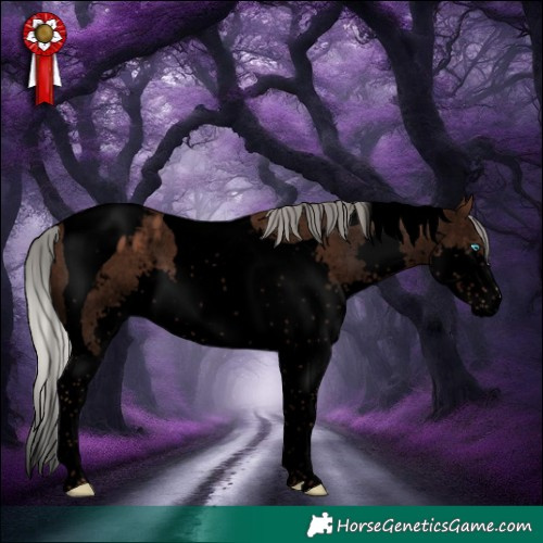 Horse Color:Void Silver Black Splash Tobiano Varnish 