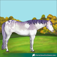 Horse Color:Watercolor Brown Onyx Splash Tobiano Appaloosa 