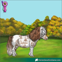 Horse Color:Liver Red Dun Ice Tobiano