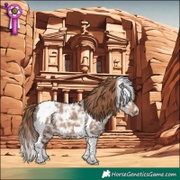 Horse Color:Liver Red Dun Ice Tobiano 