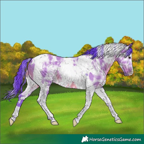 Horse Color:Watercolor White Spotted Grullo Ice Mushroom Tobiano 