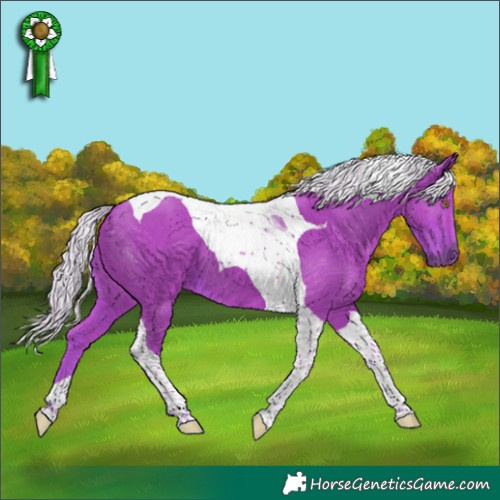 Horse Color:Watercolor Liver Chestnut Mushroom Tobiano 