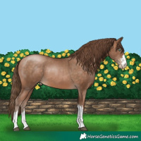 Horse Color:Brown Pearl 