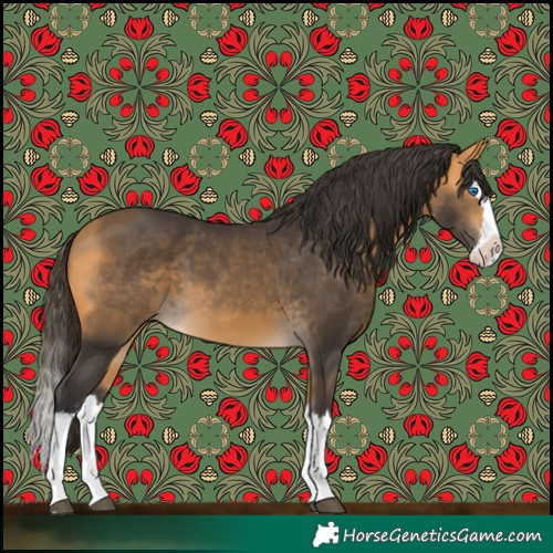 Horse Color:Buckskin Splash 
