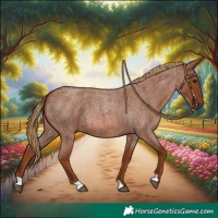 Horse Color:Red Roan 