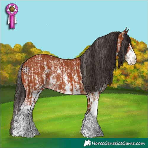 Horse Color:Bay Sabino Rabicano and Bay Sabino Splash Rabicano