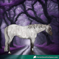 Horse Color:White Spotted Silver Brown Roan 