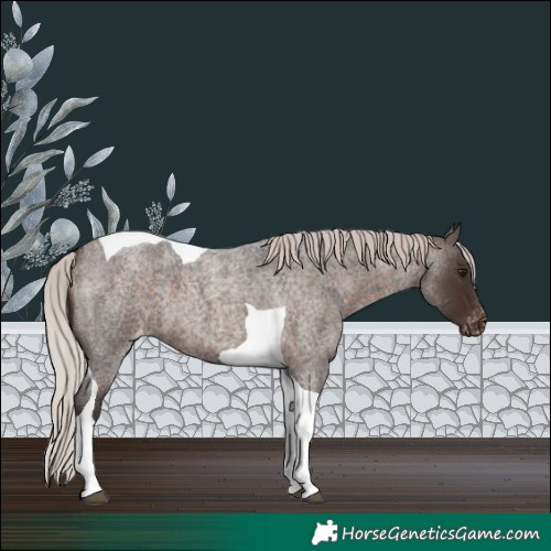 Horse Color:Silver Brown Roan Tobiano Varnish 