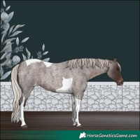 Horse Color:Silver Brown Roan Tobiano Varnish 