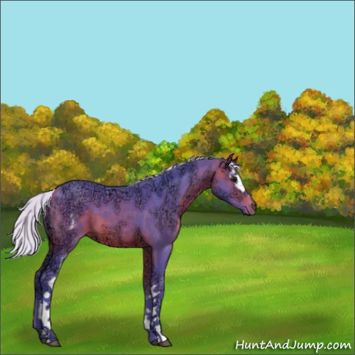 Horse Color:Watercolor White Spotted Silver Brown Ice 