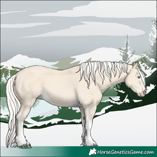 Horse Color:Cremello Tobiano 