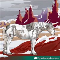 Horse Color:Silver Smoky Black Sabino Tobiano