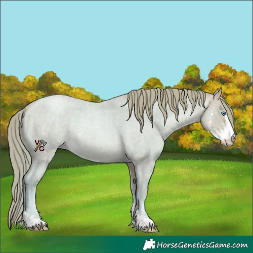 Horse Color:Watercolor Buckskin Roan Pearl Sabino 