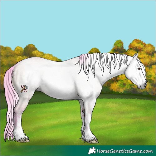 Horse Color:Gray Watercolor White Spotted Brown Dun 
