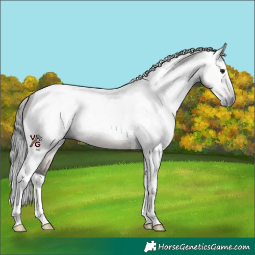 Horse Color:Gray Brown Dun Tobiano 
