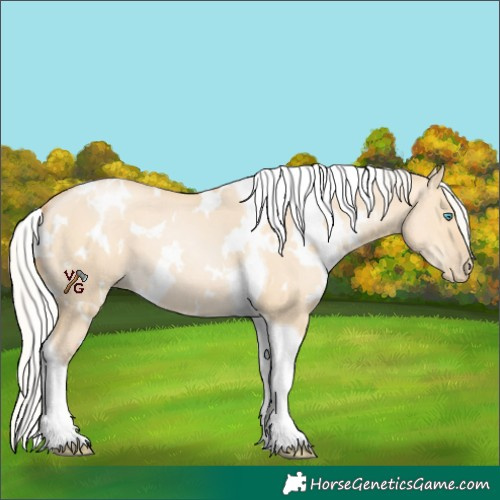 Horse Color:White Spotted Silver Smoky Grullo Pearl Tobiano 