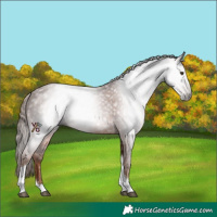 Horse Color:Gray Chestnut Tobiano Varnish 