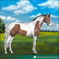 Horse Color:Silver Black Sabino Tobiano